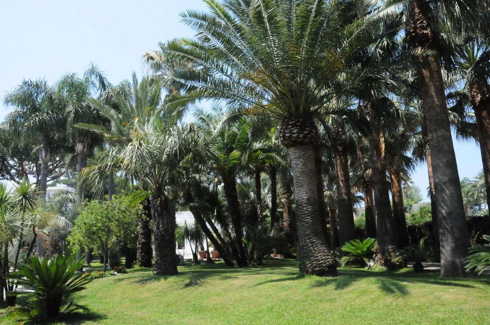 Villa Dei D'Armiento Sant'Angelo  エクステリア 写真