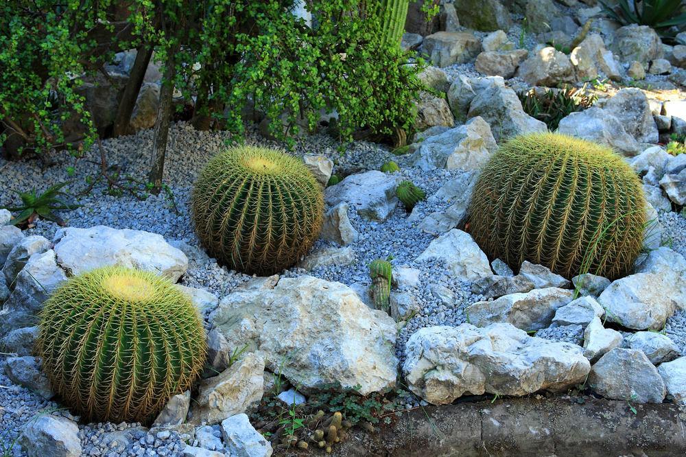 Villa Dei D'Armiento Sant'Angelo  エクステリア 写真