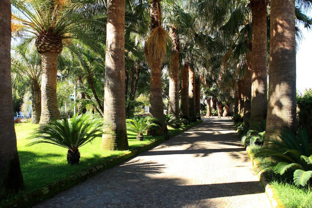 Villa Dei D'Armiento Sant'Angelo  エクステリア 写真